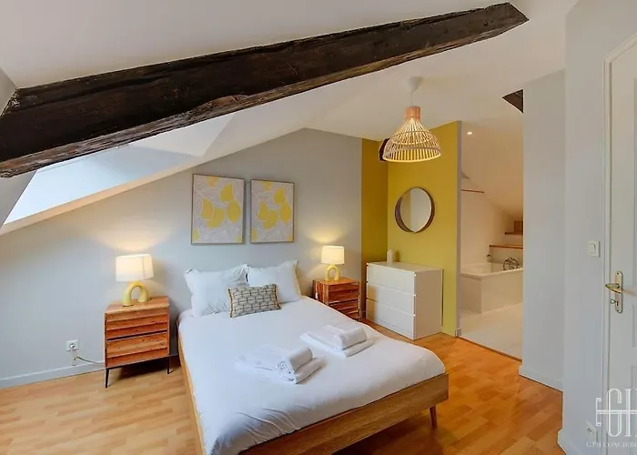 Apartment Beau Duplex - Calme - Parking Prive Tours